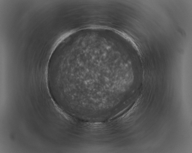 X0000116561231200912241608