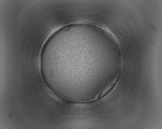 X0000116561232200912241608