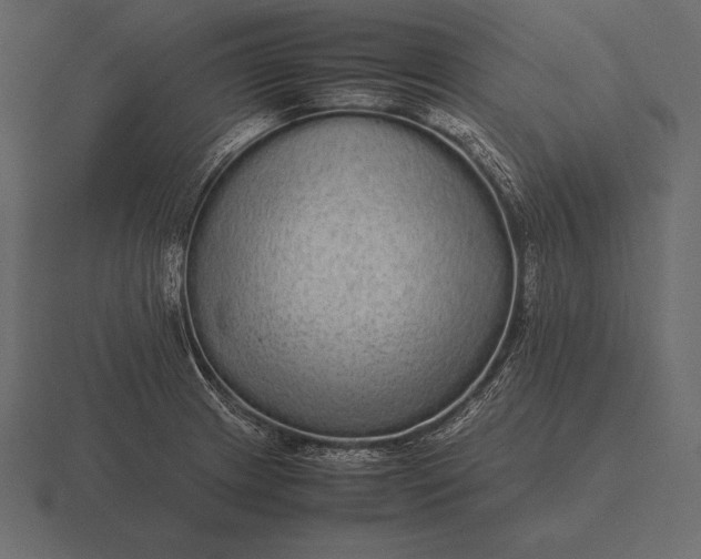 X0000116561233200912241608