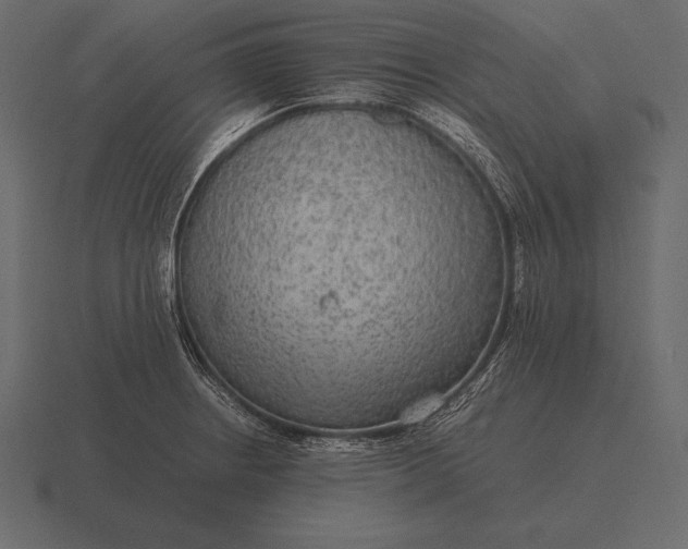 X0000116561234200912241608