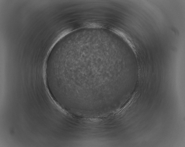 X0000116561235200912241608