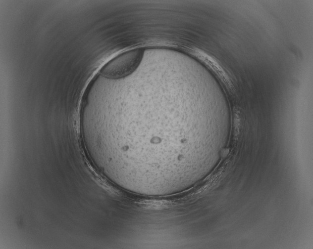 X0000116561236200912241608