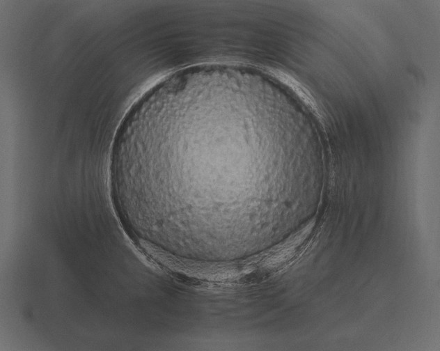 X0000116561237200912241608