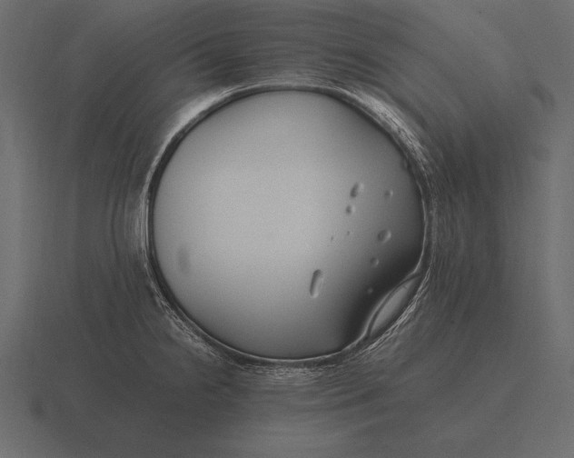 X0000116561238200912241608