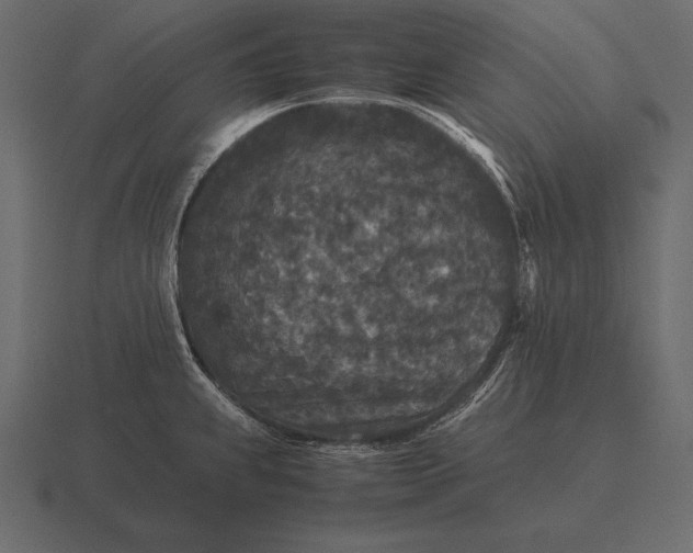 X0000116561239200912241608