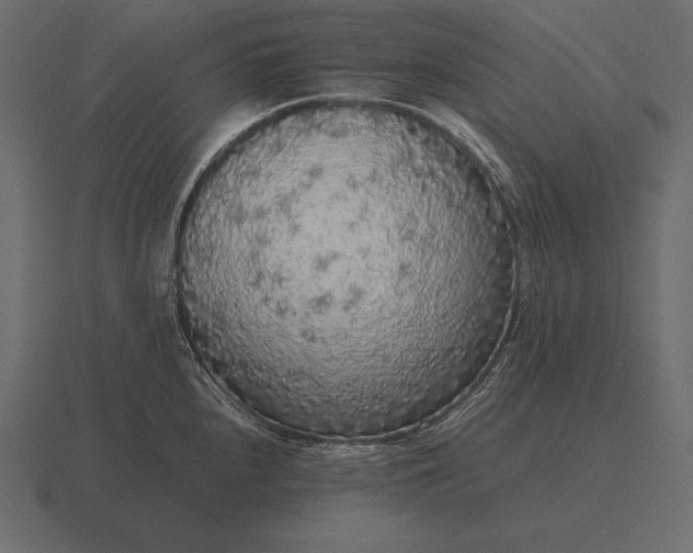 X0000116561240200912241608