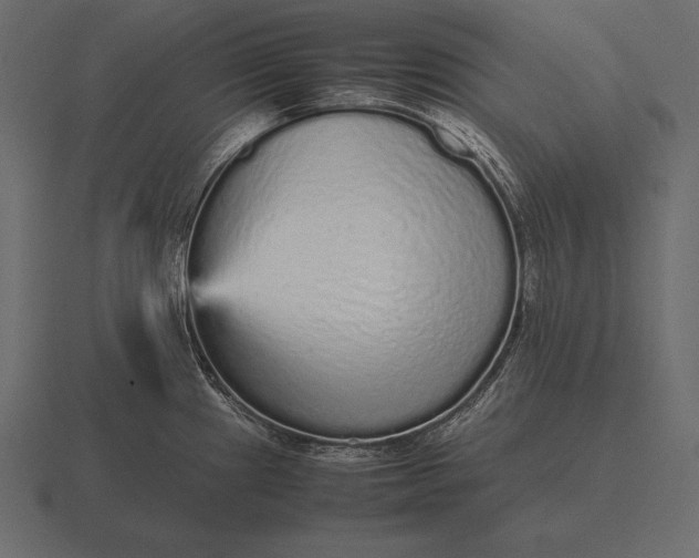 X0000116561241200912241608