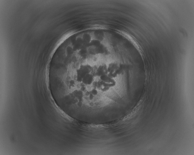 X0000116561243200912241608