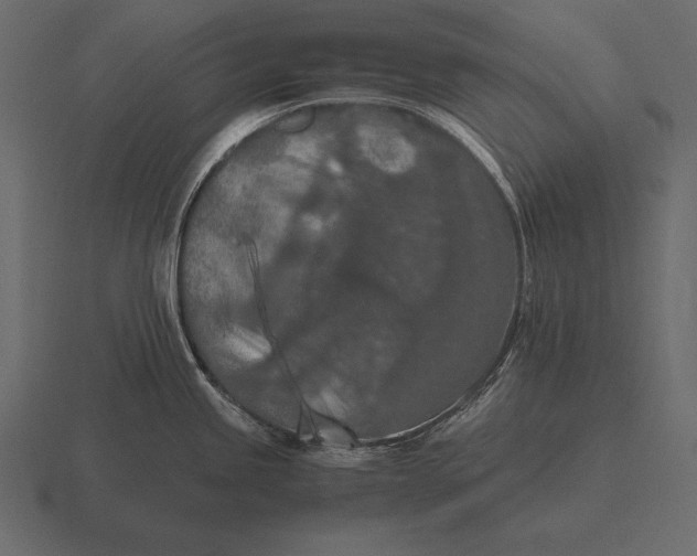 X0000116561245200912241608