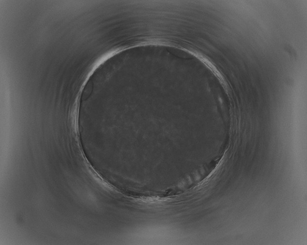 X0000116561246200912241608