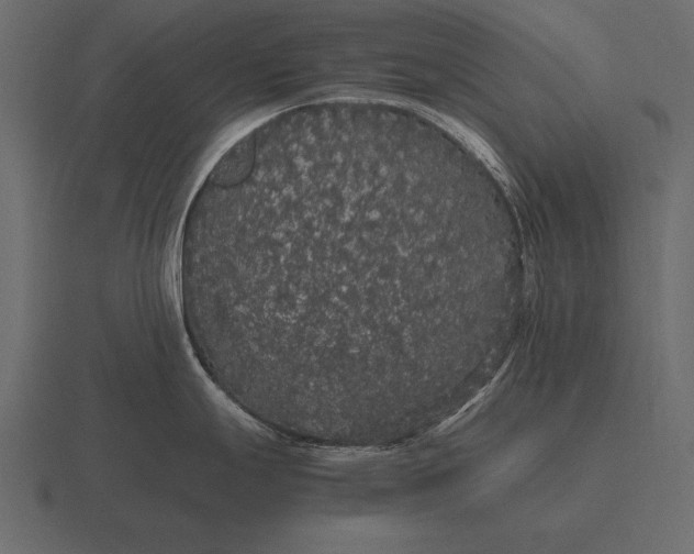 X0000116561247200912241608