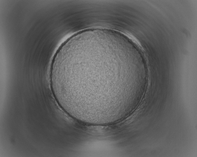 X0000116561248200912241608