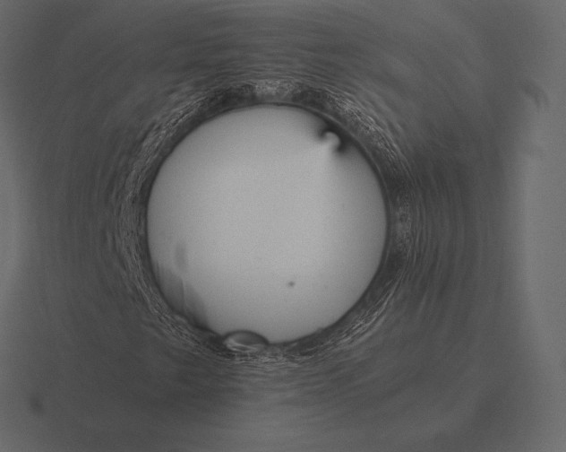 X0000116561249200912241608