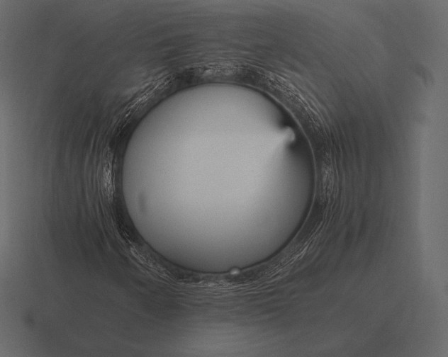 X0000116561250200912241608