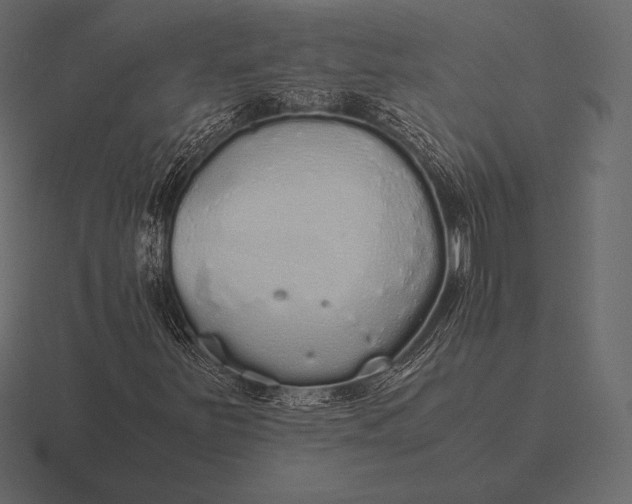 X0000116561251200912241608