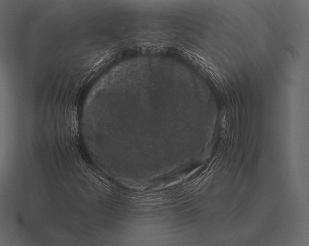 X0000116561252200912241608