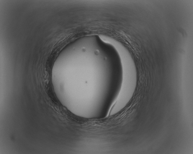 X0000116561253200912241608