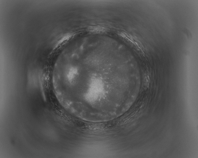 X0000116561254200912241608