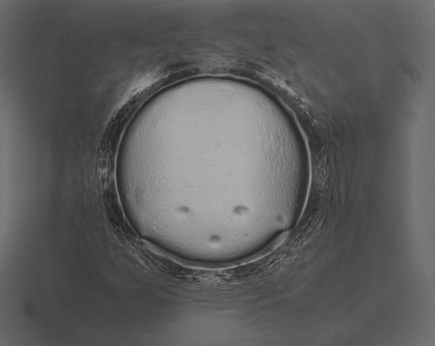 X0000116561255200912241608