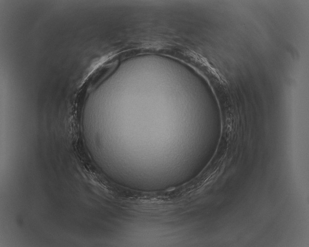 X0000116561256200912241608