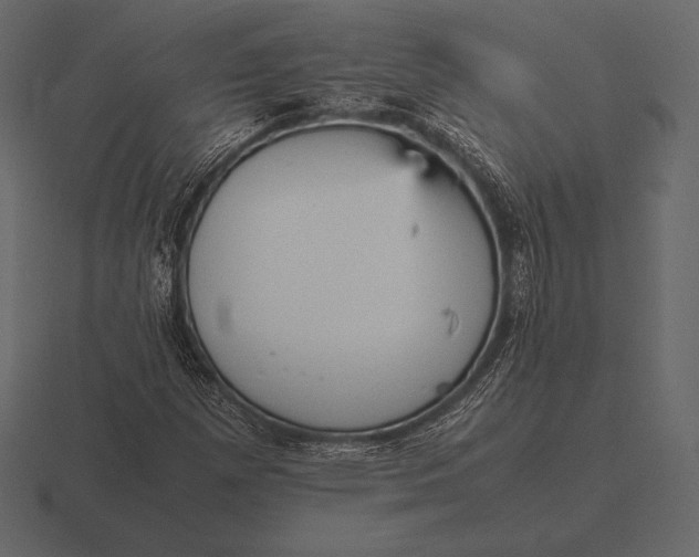 X0000116561257200912241608