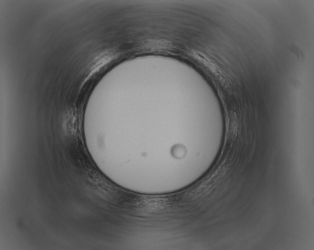 X0000116561258200912241608