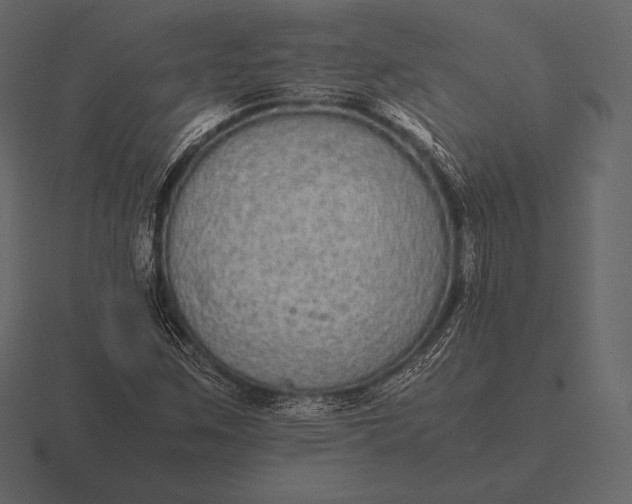 X0000116561259200912241608