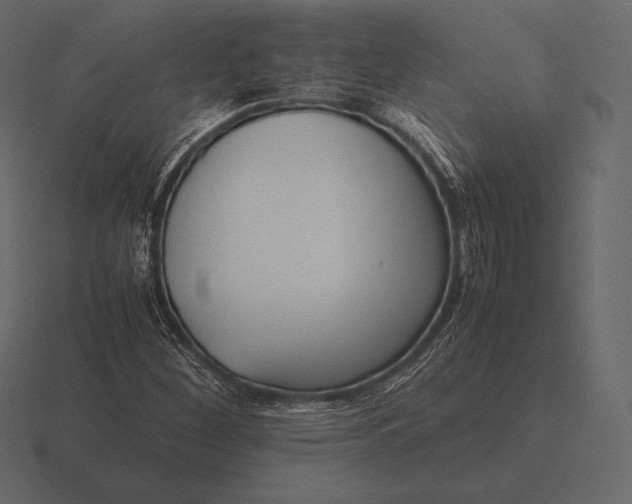 X0000116561260200912241608