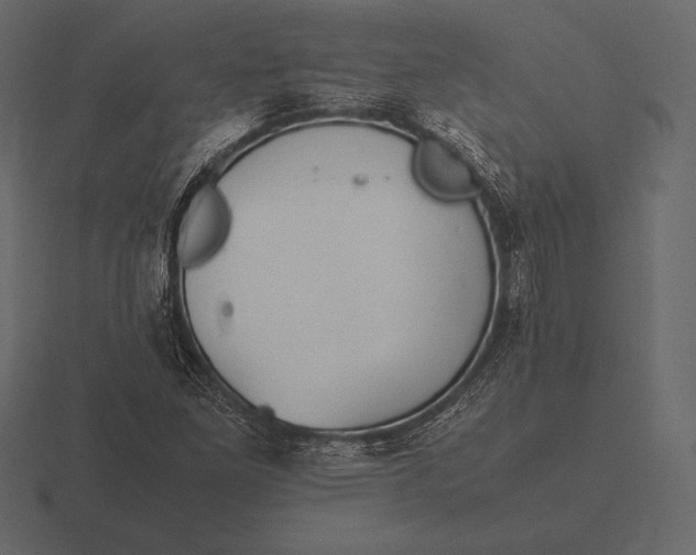 X0000116561261200912241608