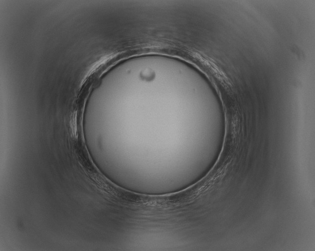 X0000116561262200912241608