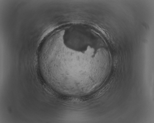 X0000116561263200912241608