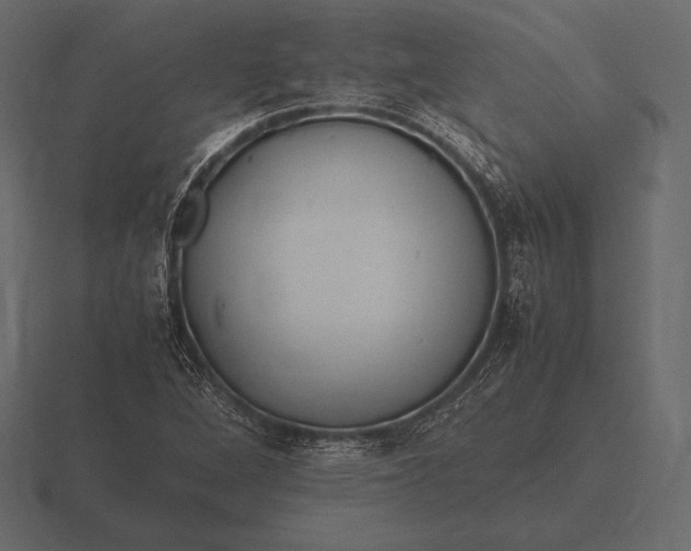 X0000116561264200912241608