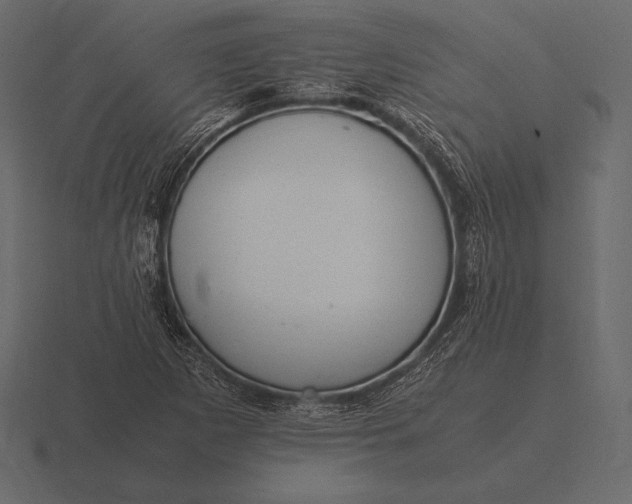 X0000116561265200912241608