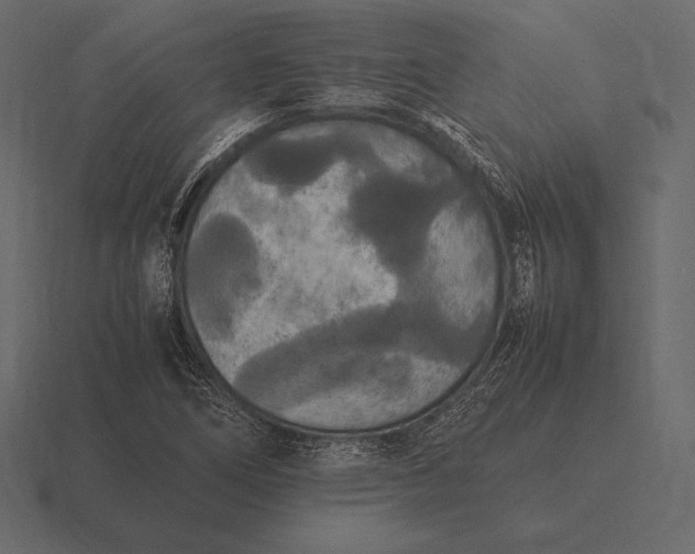 X0000116561266200912241608