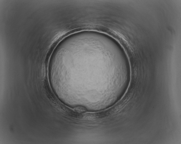 X0000116561267200912241608