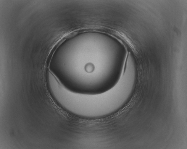 X0000116561268200912241608