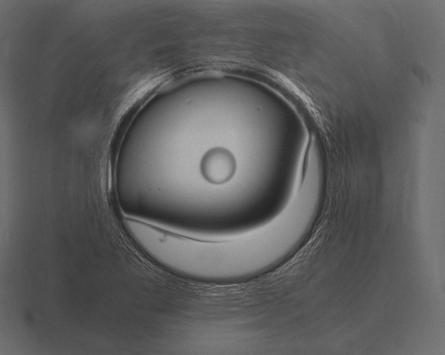 X0000116561269200912241608