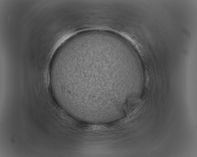 X0000116561271200912241608