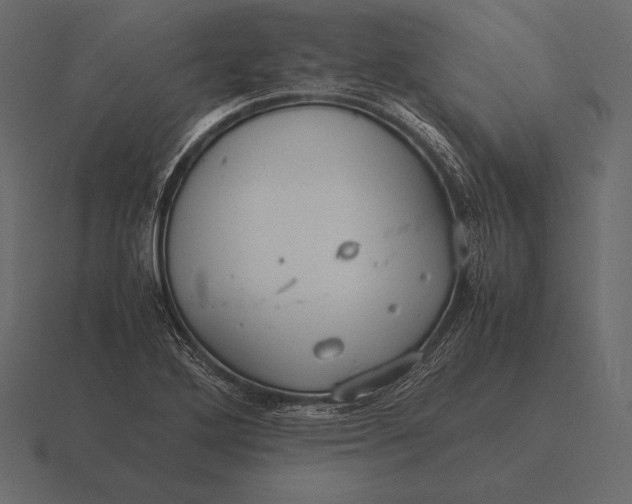 X0000116561272200912241608