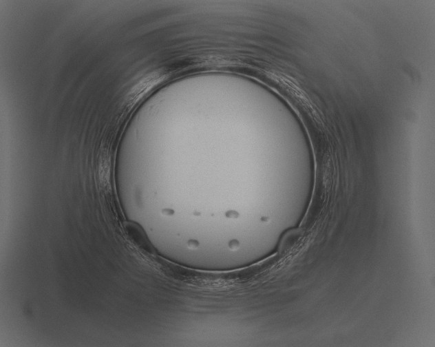 X0000116561273200912241608