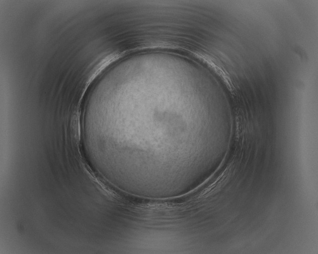 X0000116561274200912241608