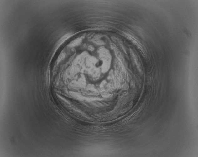 X0000116561275200912241608