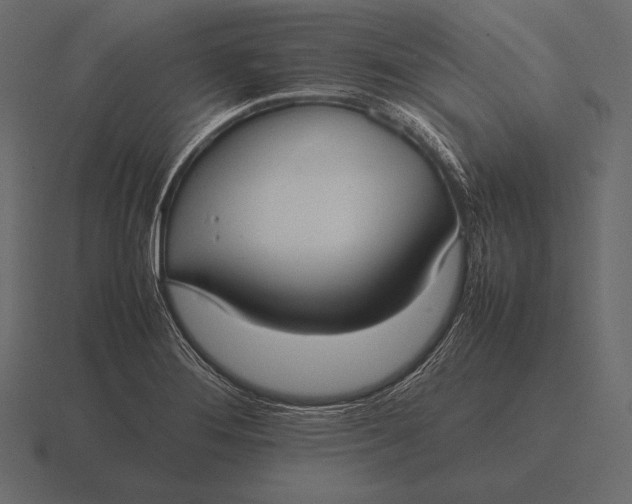 X0000116561276200912241608