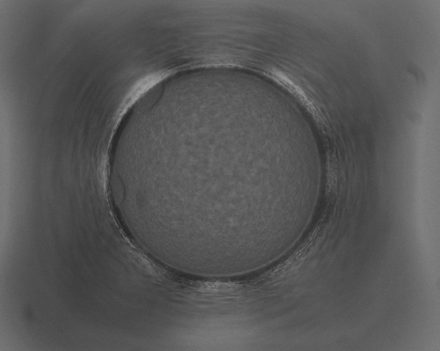 X0000116561277200912241608