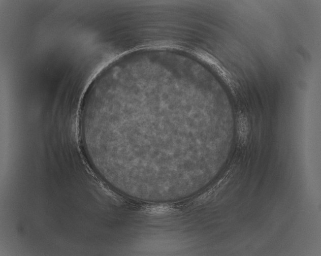 X0000116561278200912241608