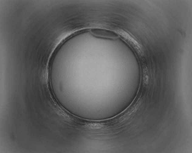 X0000116561280200912241607