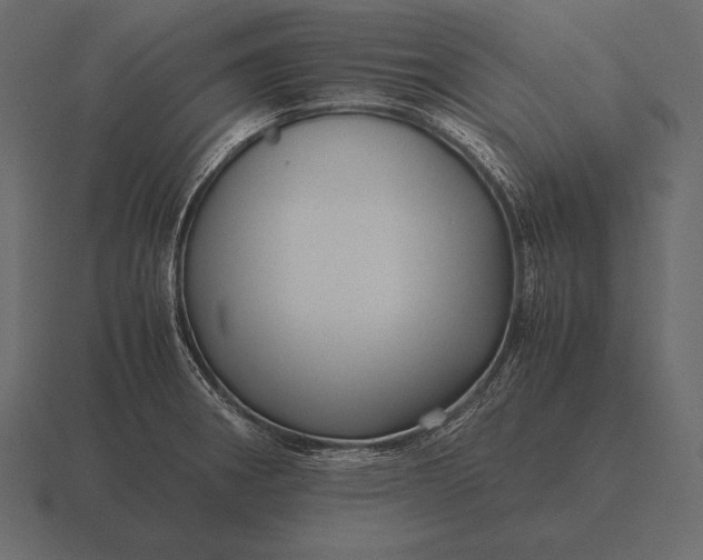 X0000116561282200912241607