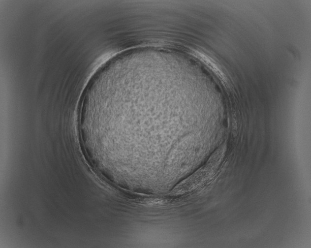 X0000116561283200912241607