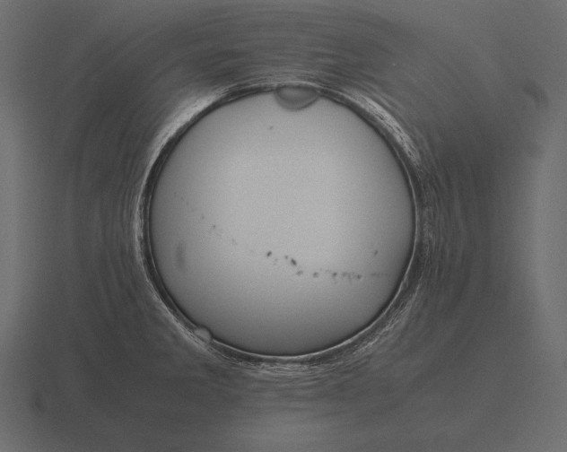 X0000116561285200912241607