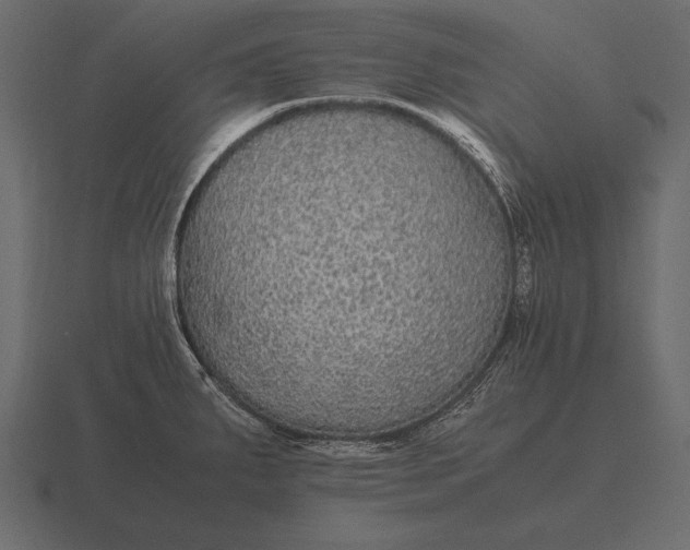 X0000116561287200912241607